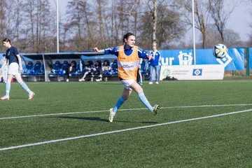 Bild 125 - F Hamburger SV 3 - Blau-Weiss 96 : Ergebnis: 5:1